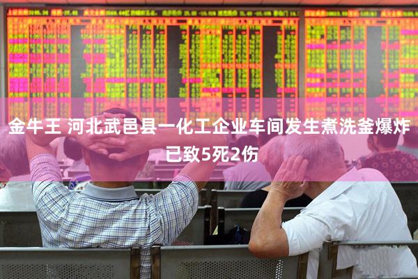 金牛王 河北武邑县一化工企业车间发生煮洗釜爆炸 已致5死2伤