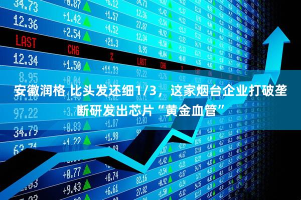 安徽润格 比头发还细1/3，这家烟台企业打破垄断研发出芯片“黄金血管”