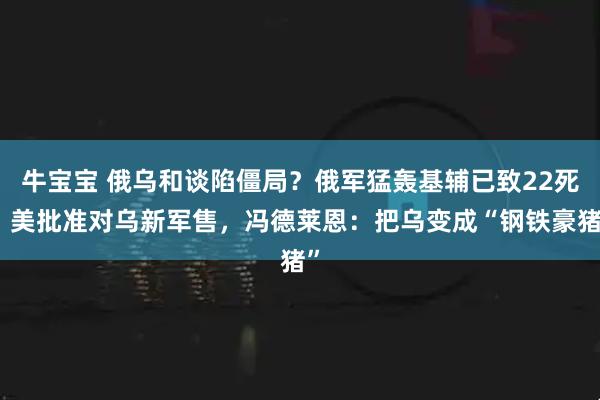 牛宝宝 俄乌和谈陷僵局？俄军猛轰基辅已致22死，美批准对乌新军售，冯德莱恩：把乌变成“钢铁豪猪”