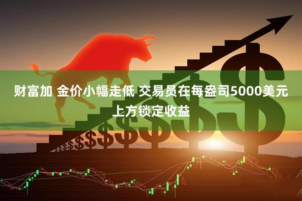 财富加 金价小幅走低 交易员在每盎司5000美元上方锁定收益